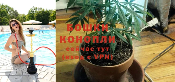 дживик Беломорск
