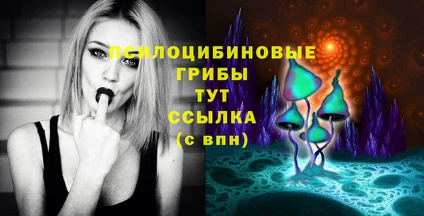 дживик Беломорск