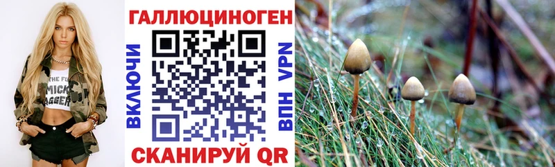 Псилоцибиновые грибы Psilocybe  Воскресенск 